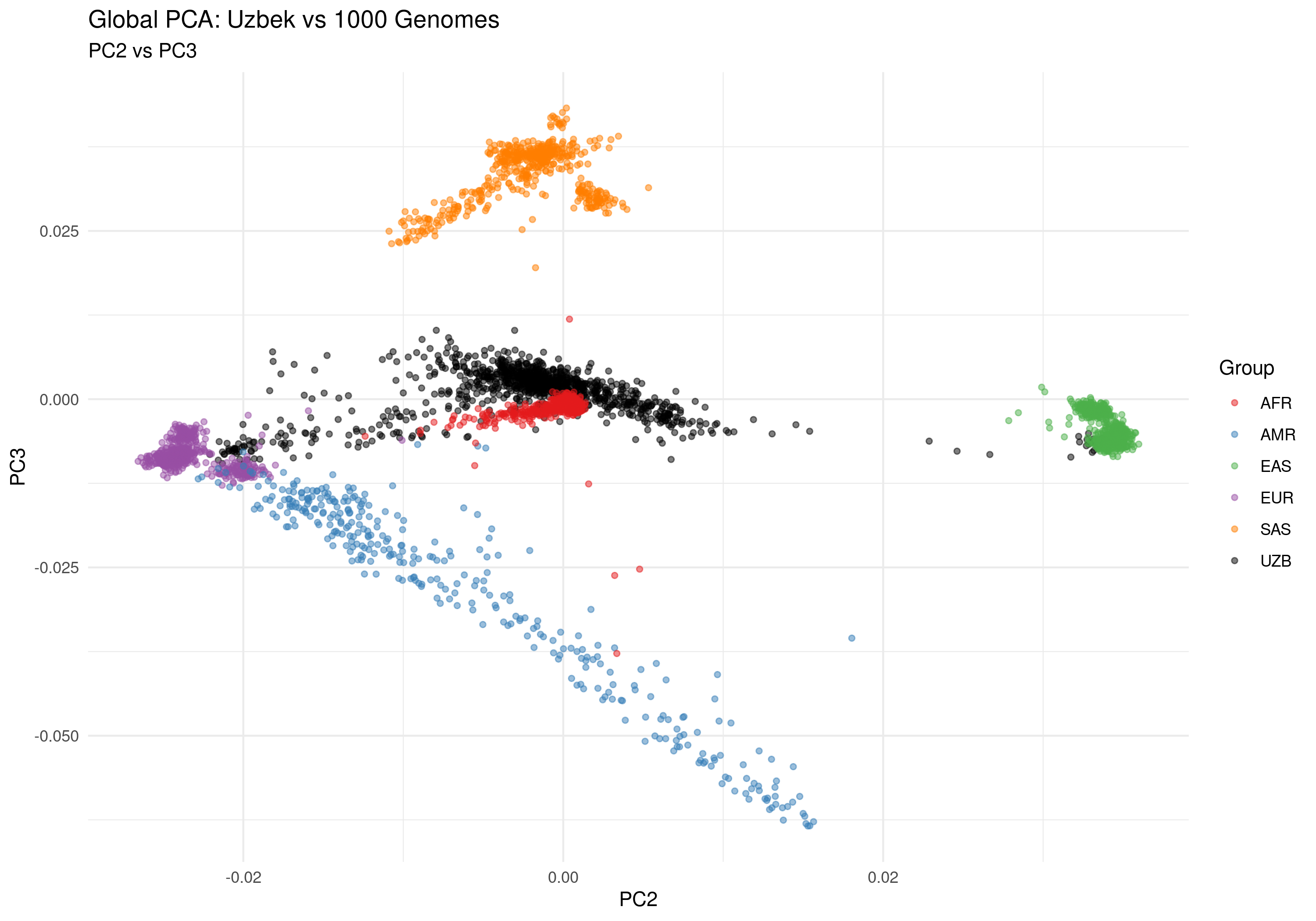 Global PCA: PC2 vs PC3